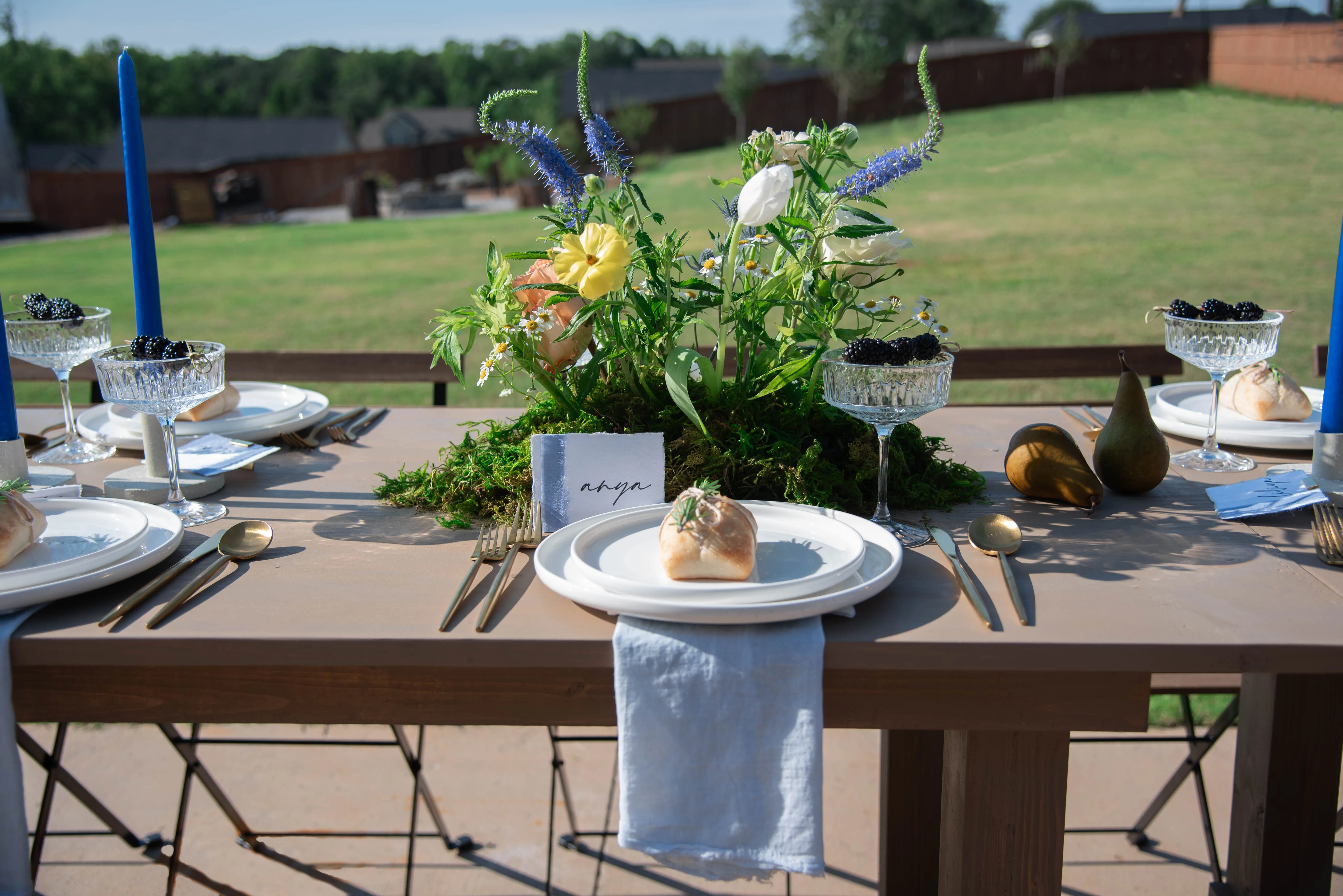 Blue Muslin Napkins