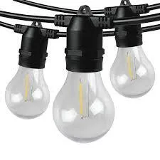 Festoon Party Lights - Clear Globes - 25m