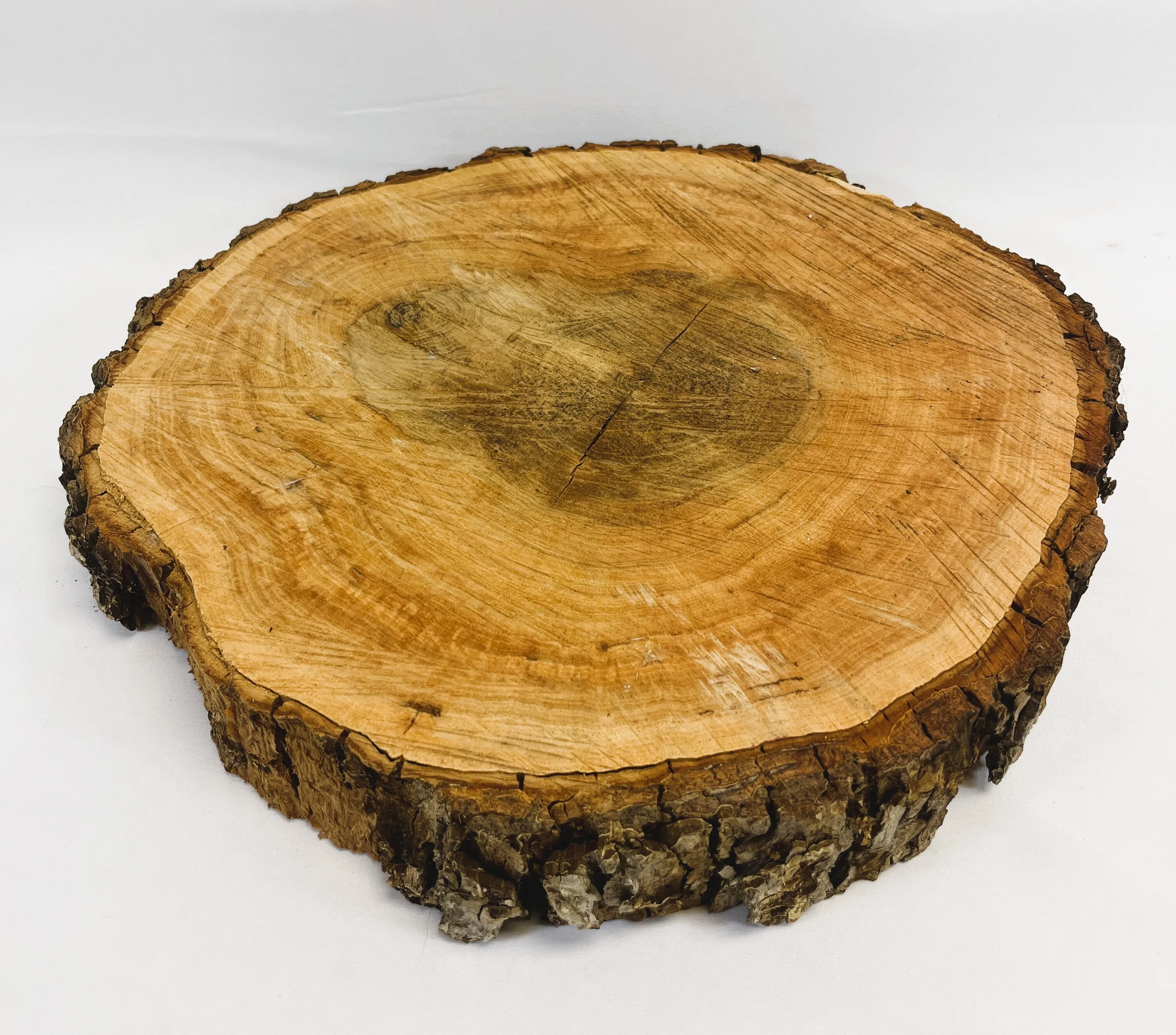 Large Wood Slices
