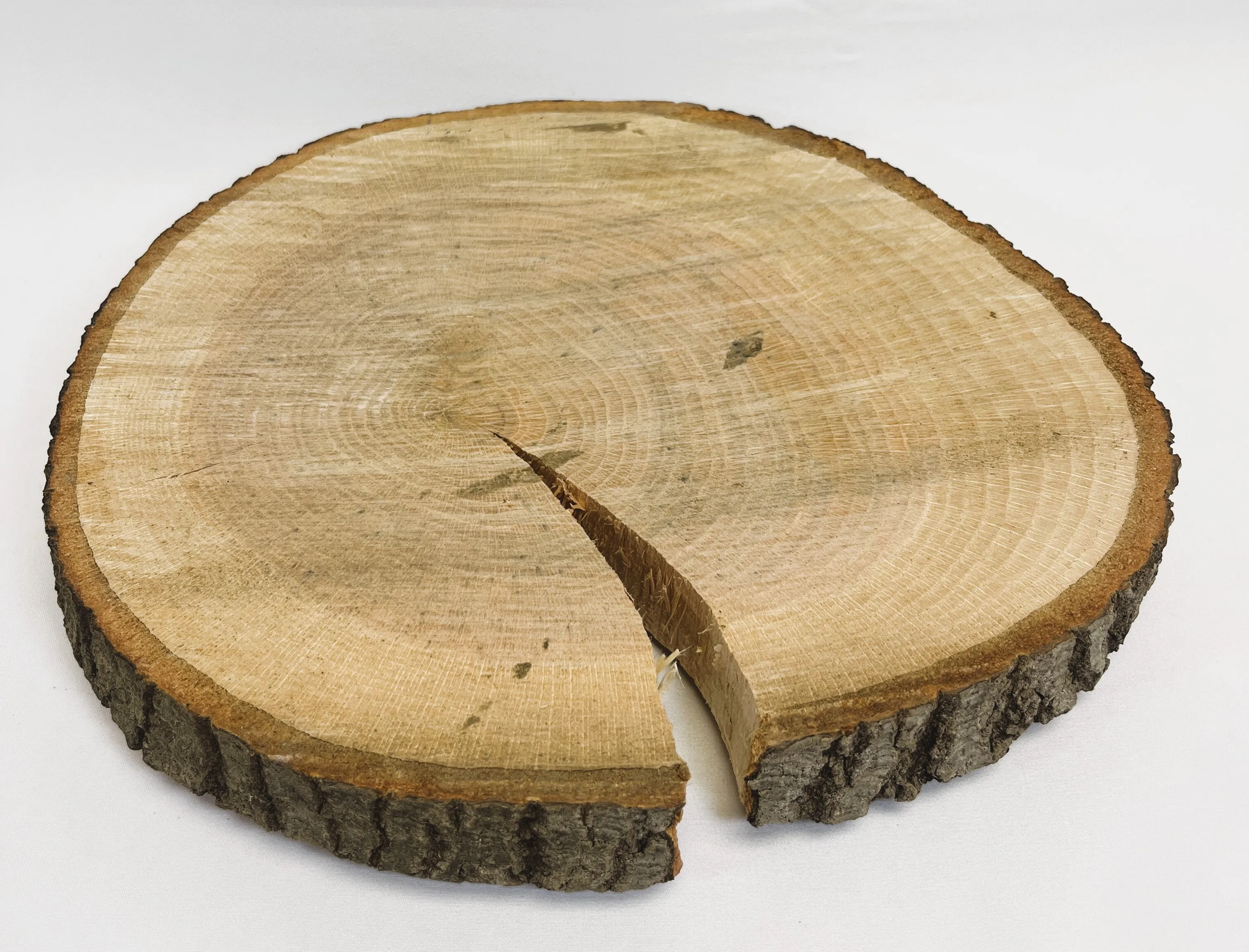 Unfinished Wood Slices