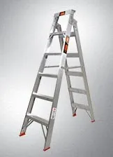 Dual Purpose Ladders