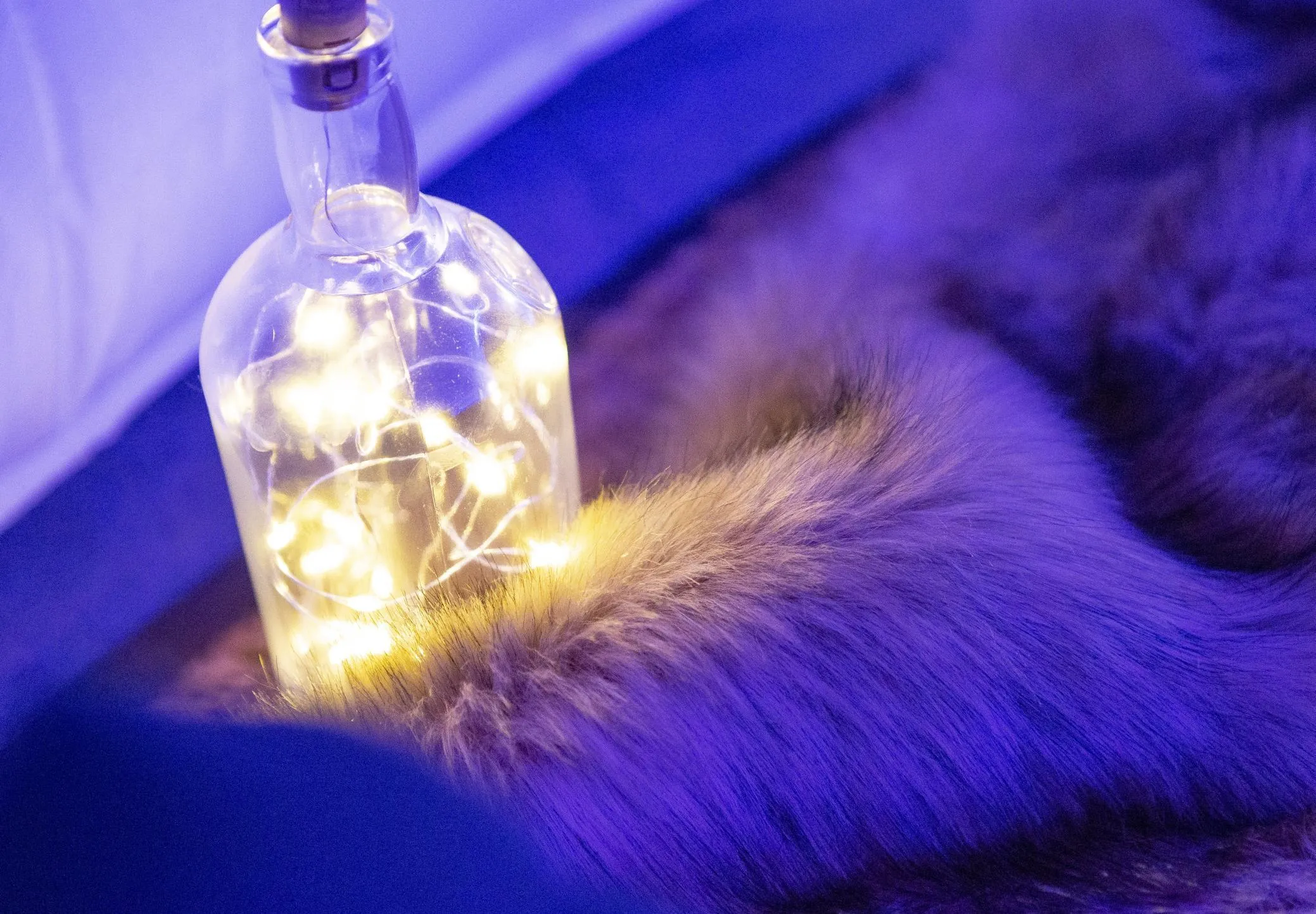 6 x Stylish Glass Bottles with Cork Lights