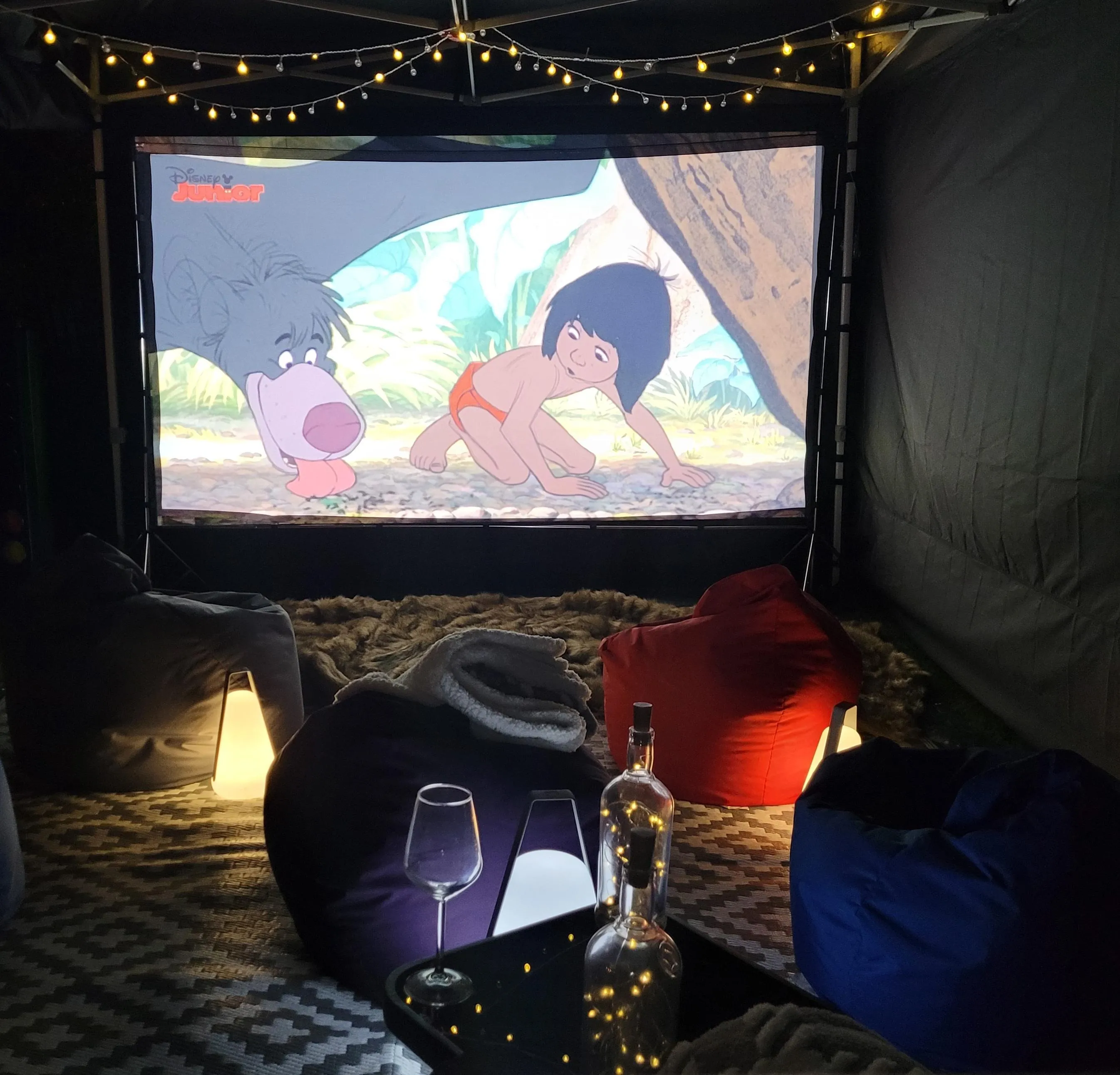 The Home Cinema Experience