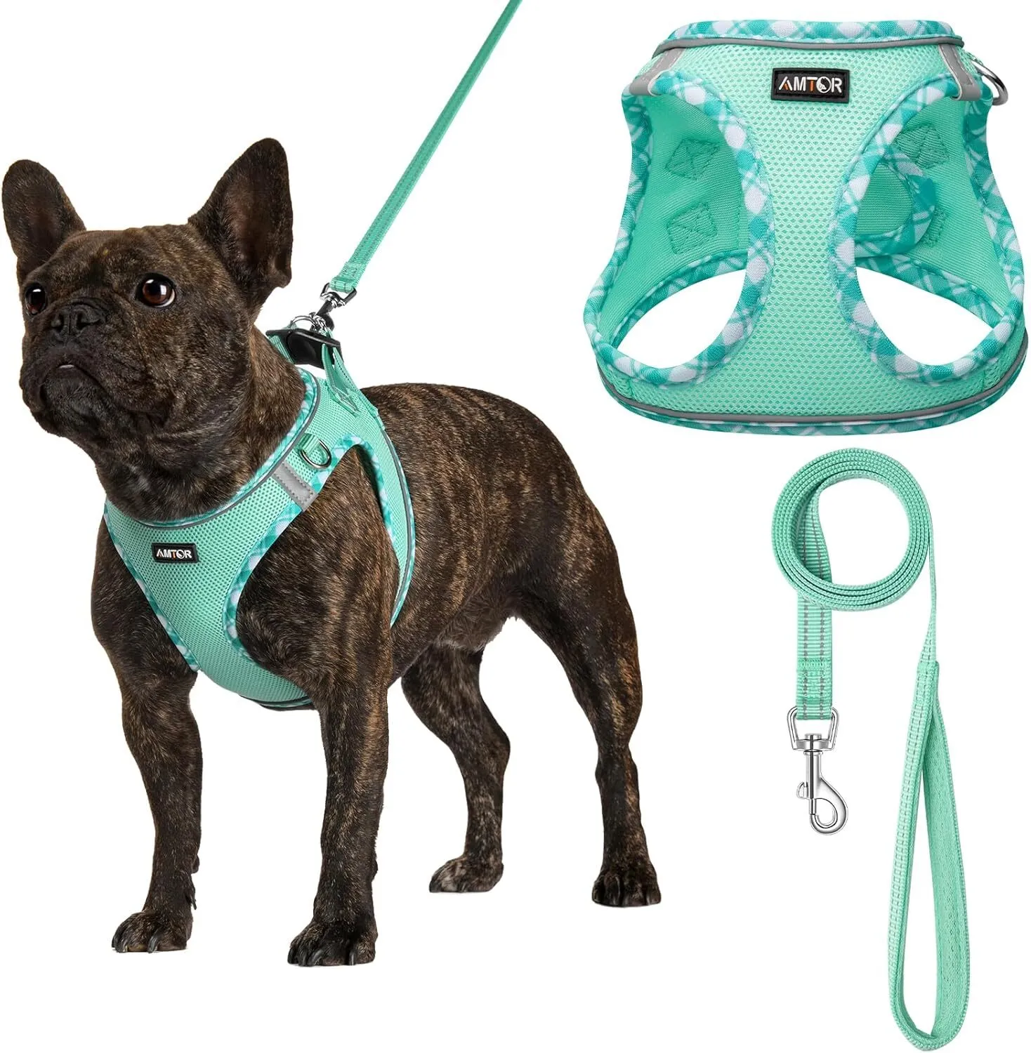 Pet Harness - Small