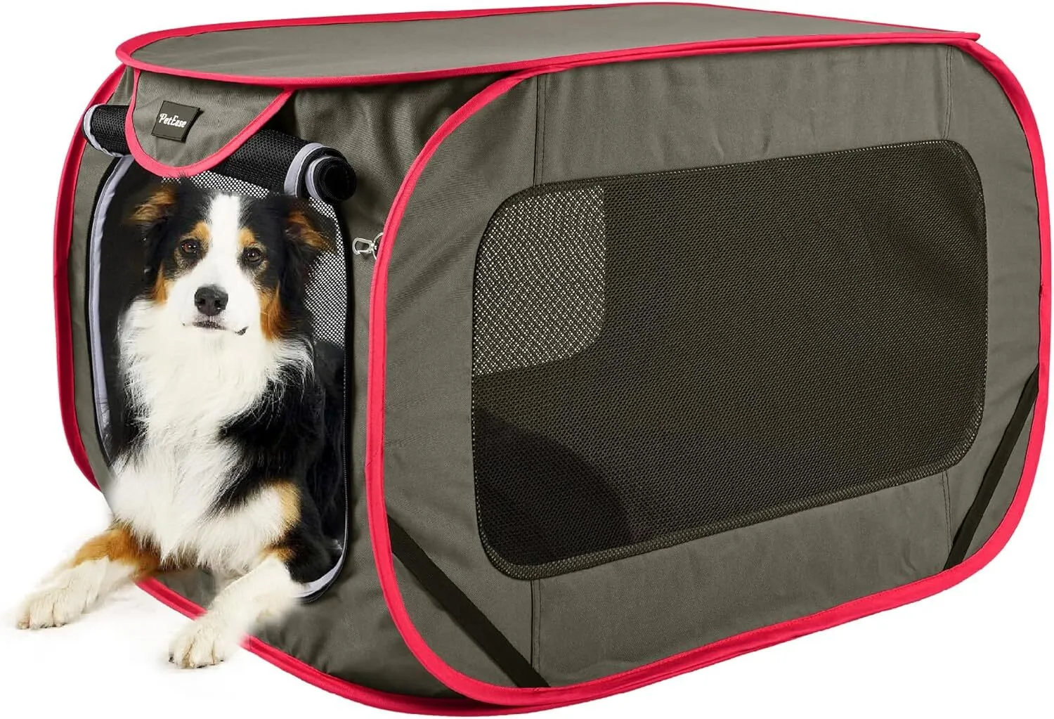 XL Pop-up Pet Crate  38"L x 22"W x 22"H