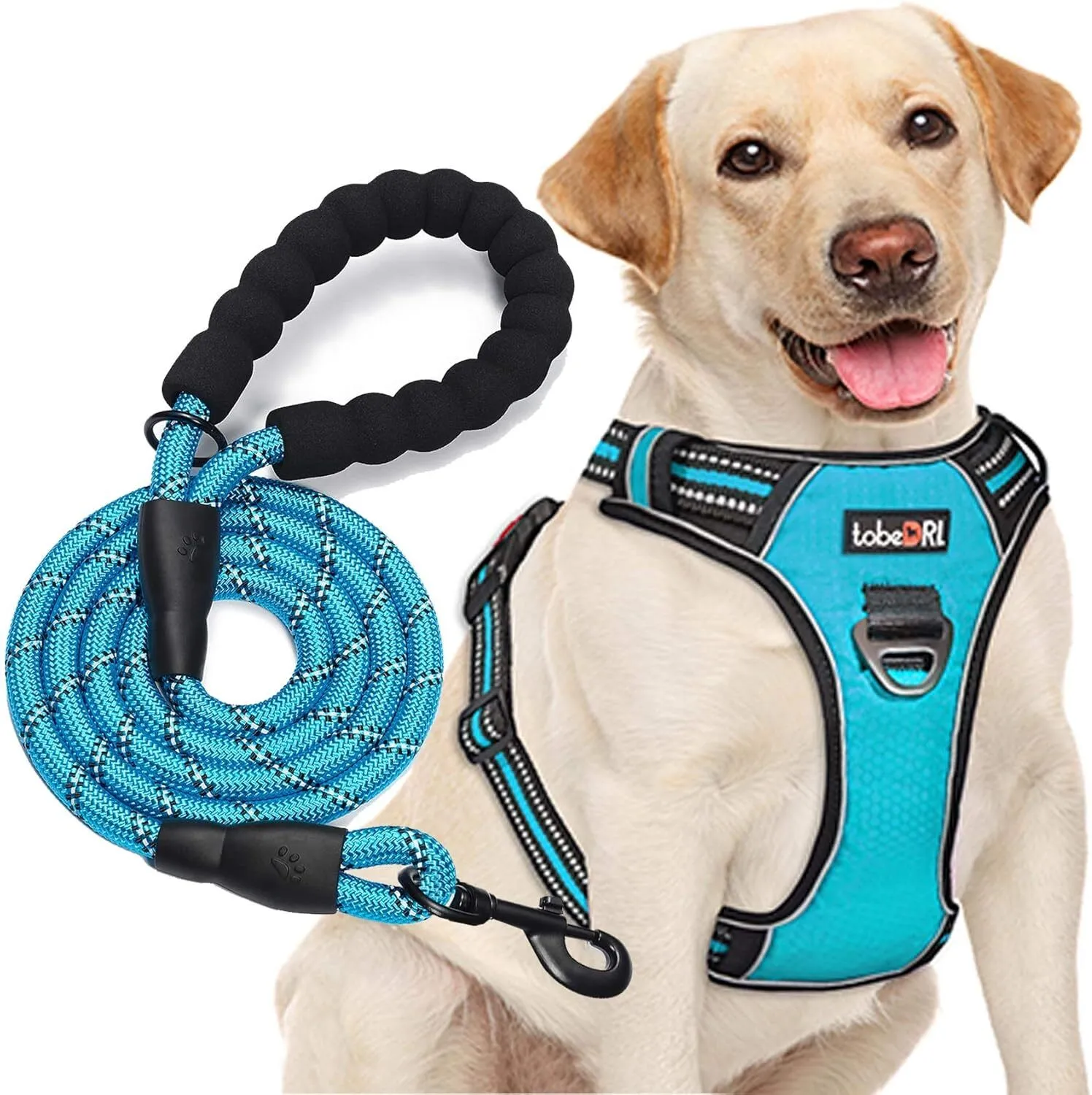 Pet Harness and Leash - LARGE