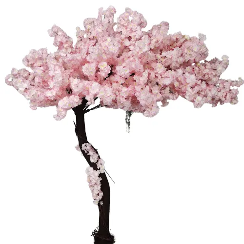 Cherry Blossom Row Tree 6.5'
