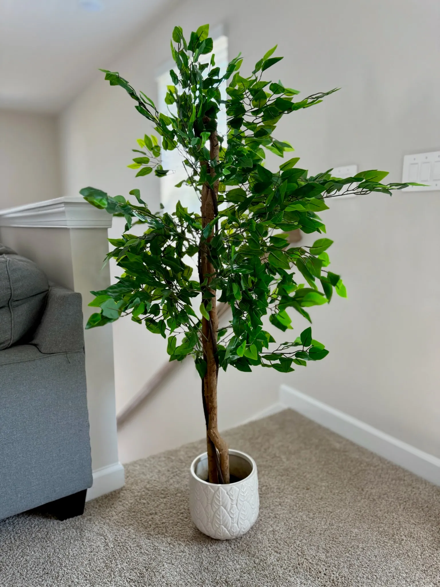 Artificial Fiscus Tree