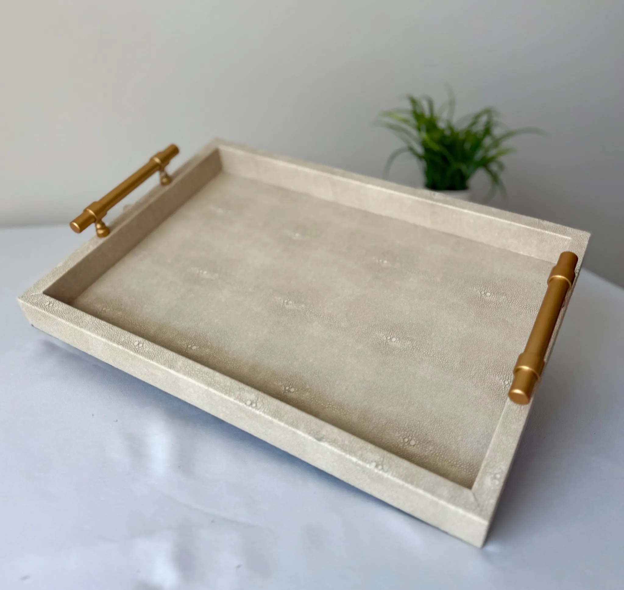 Cream Color Tray with Handles