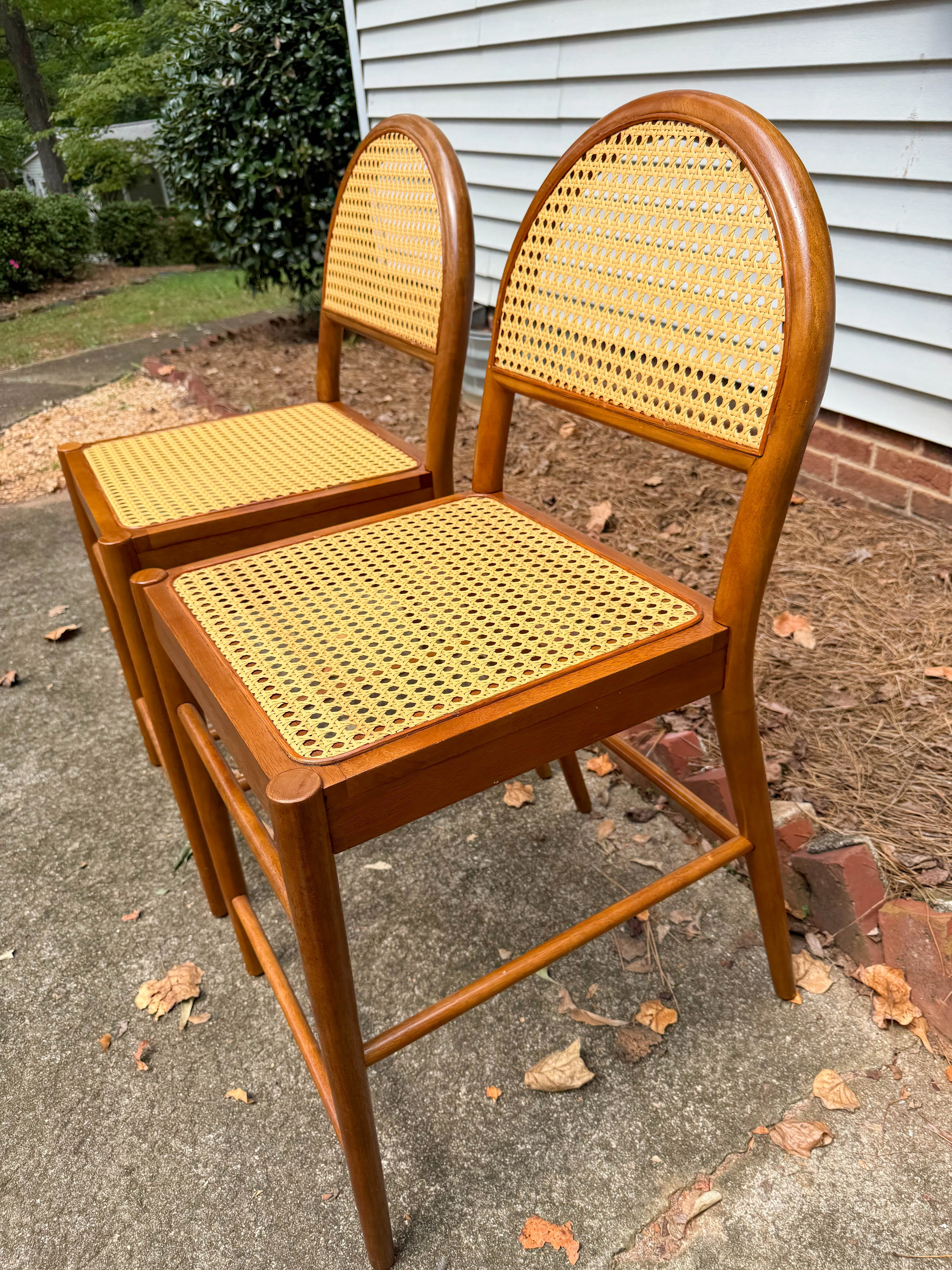 Cane/Walnut counter height stools set of 2
