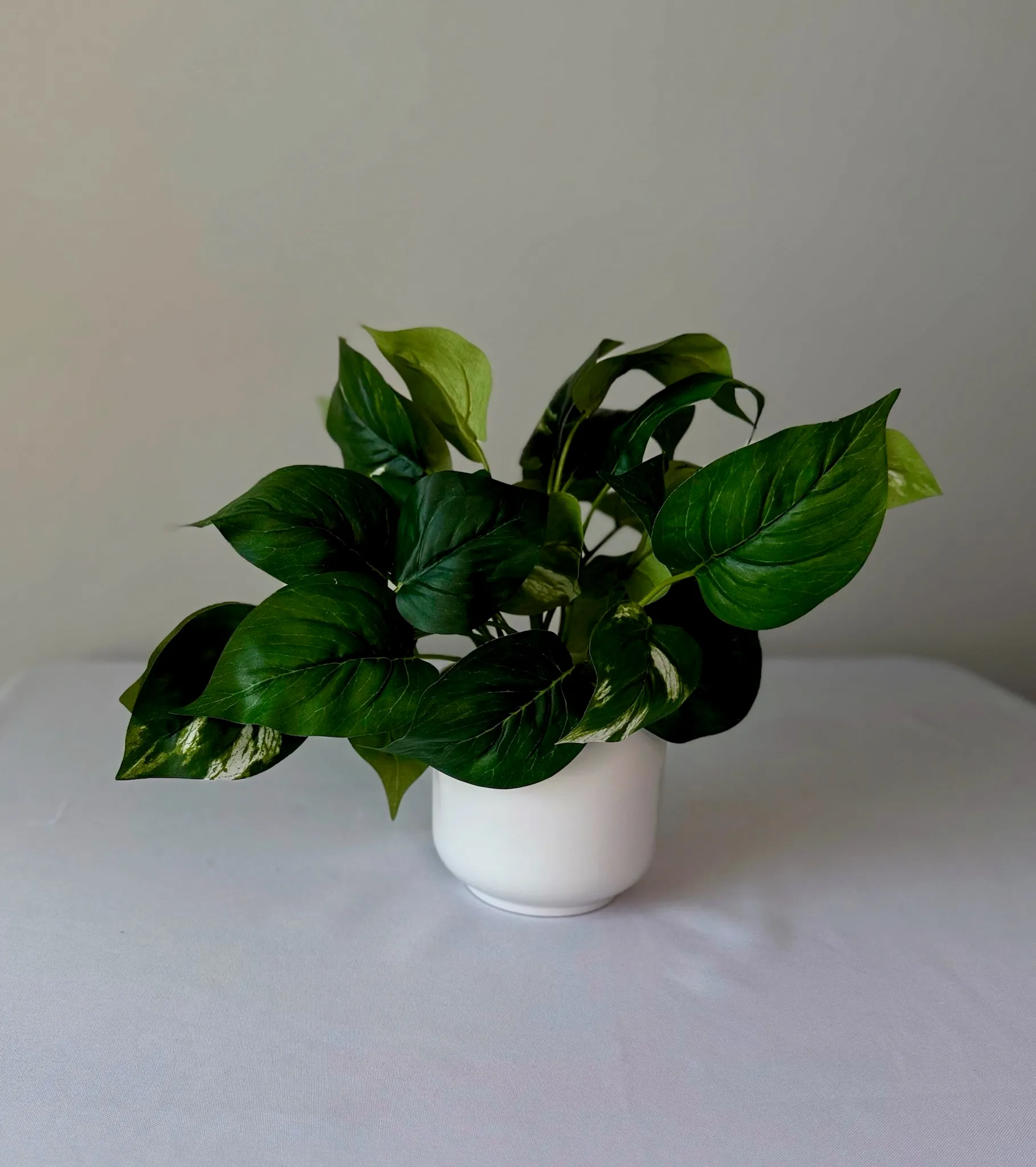 Pothos Potted Artificial Plant
