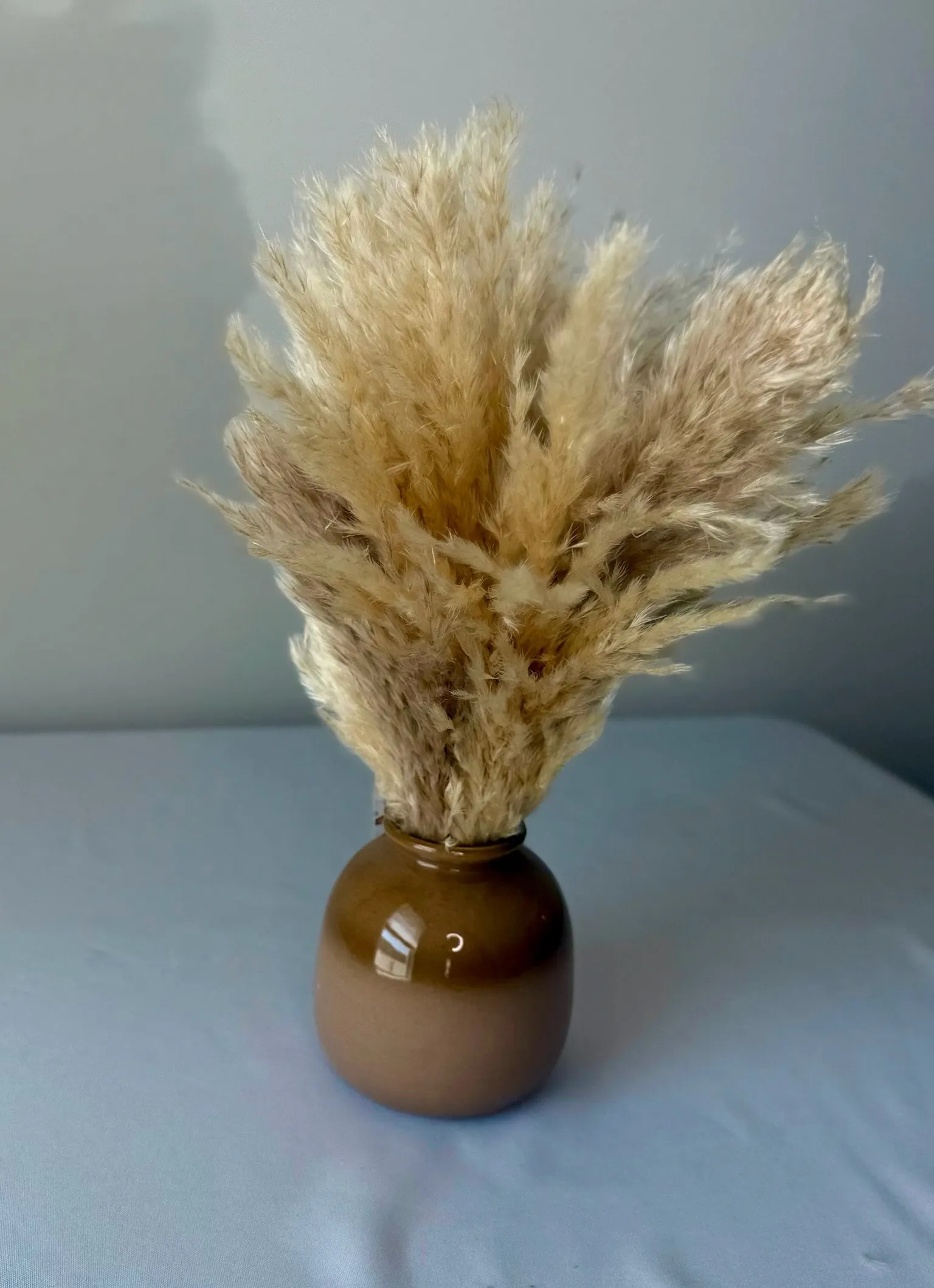 Pompass Grass Brown Vase Small