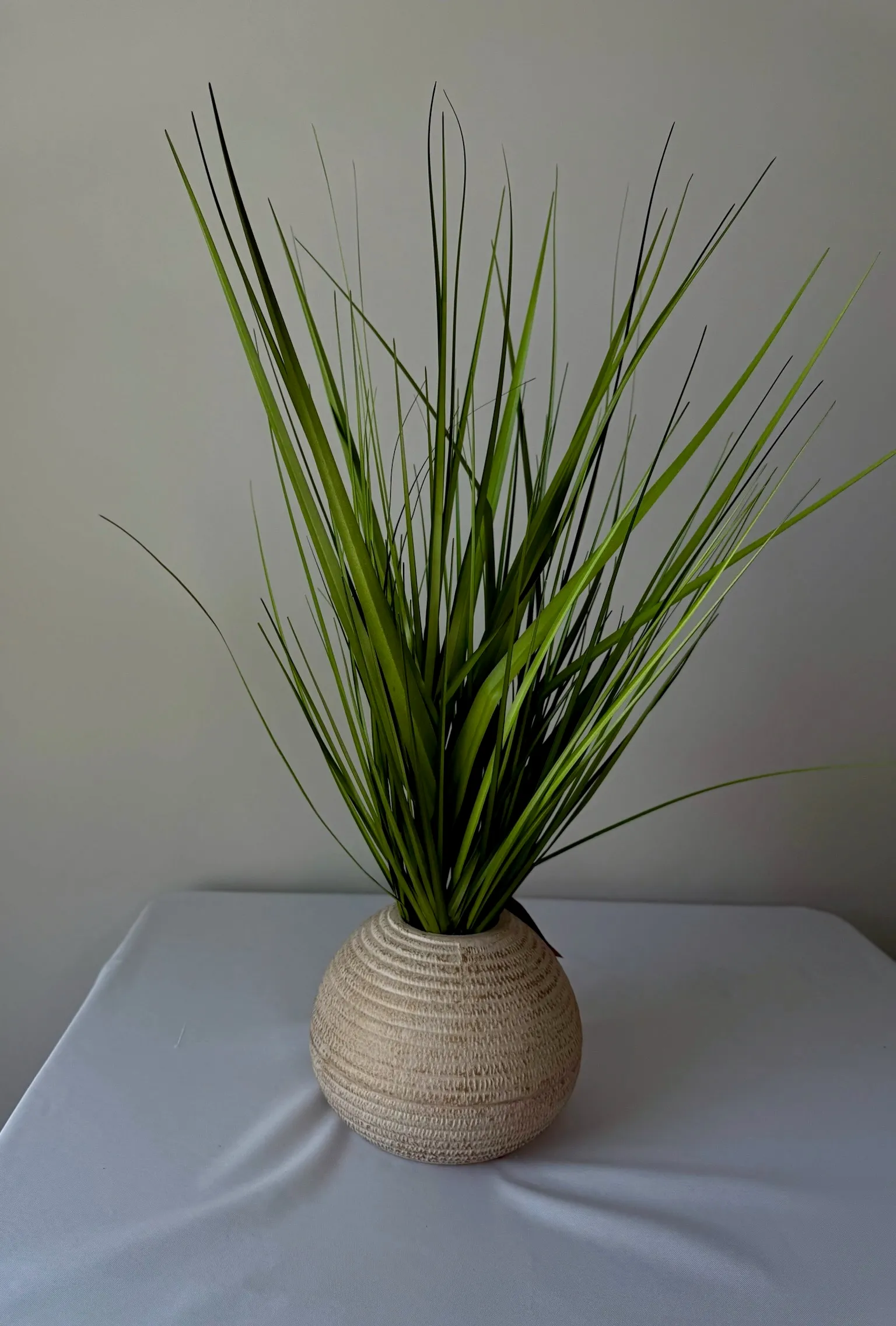 Spike Plant Tall in Vase