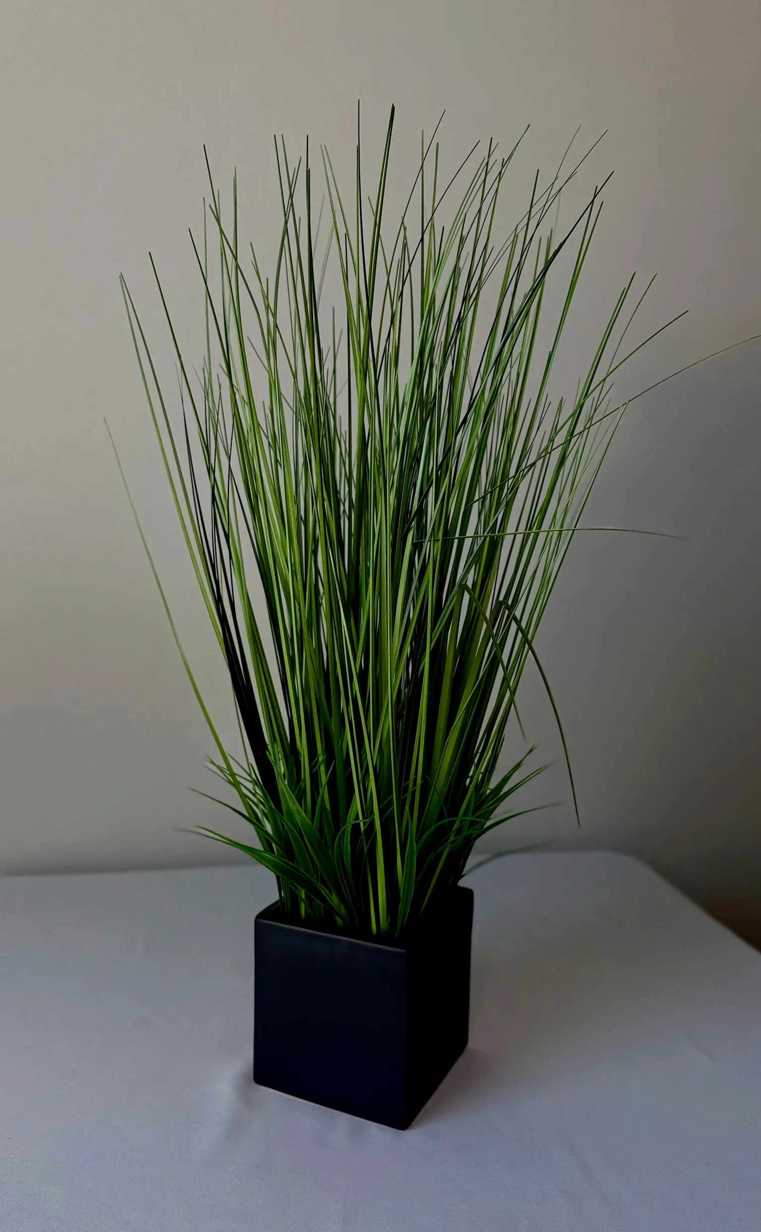 Tall Grass Planter Black Vase