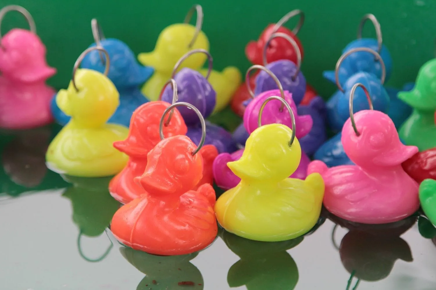 Grande pêche aux canards