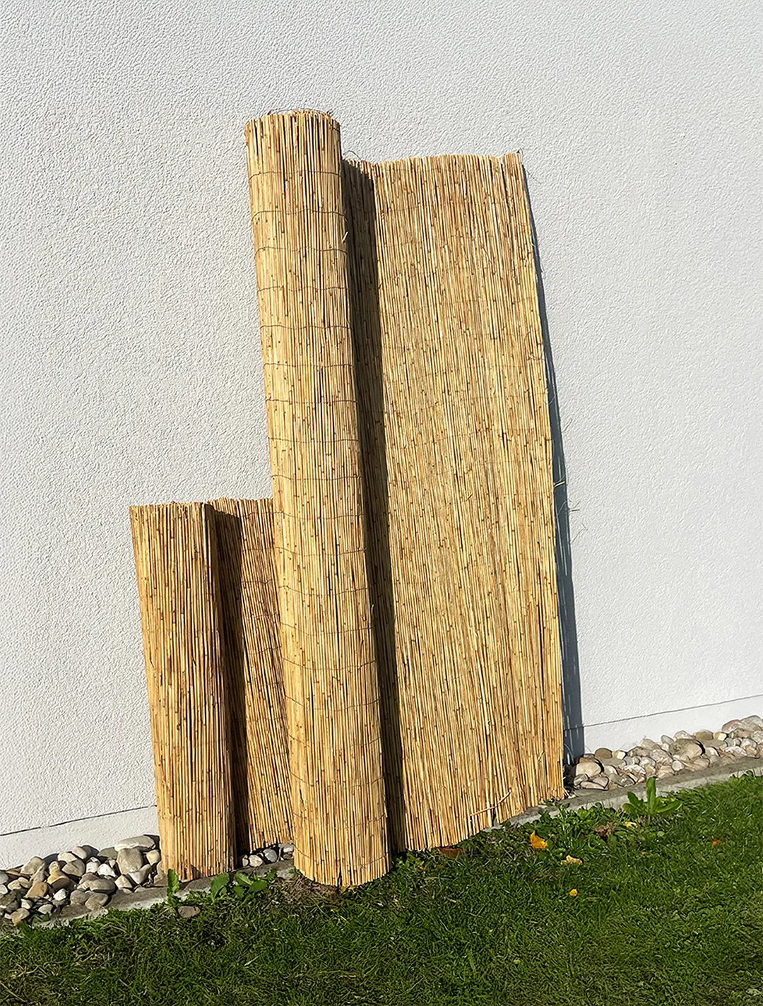 Schilfrohrmatte 1m hoch