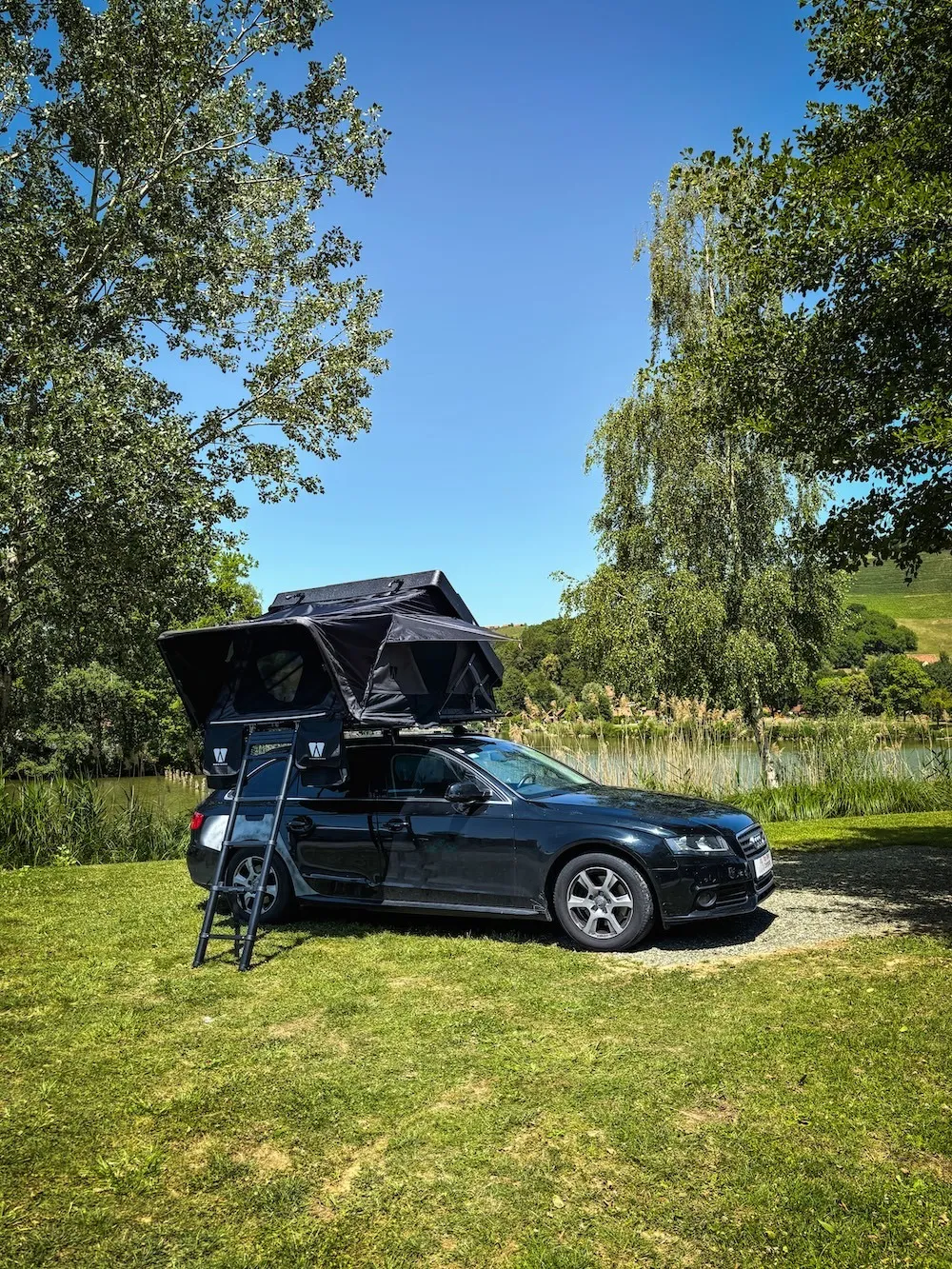 Vickywood Mighty Oak Light