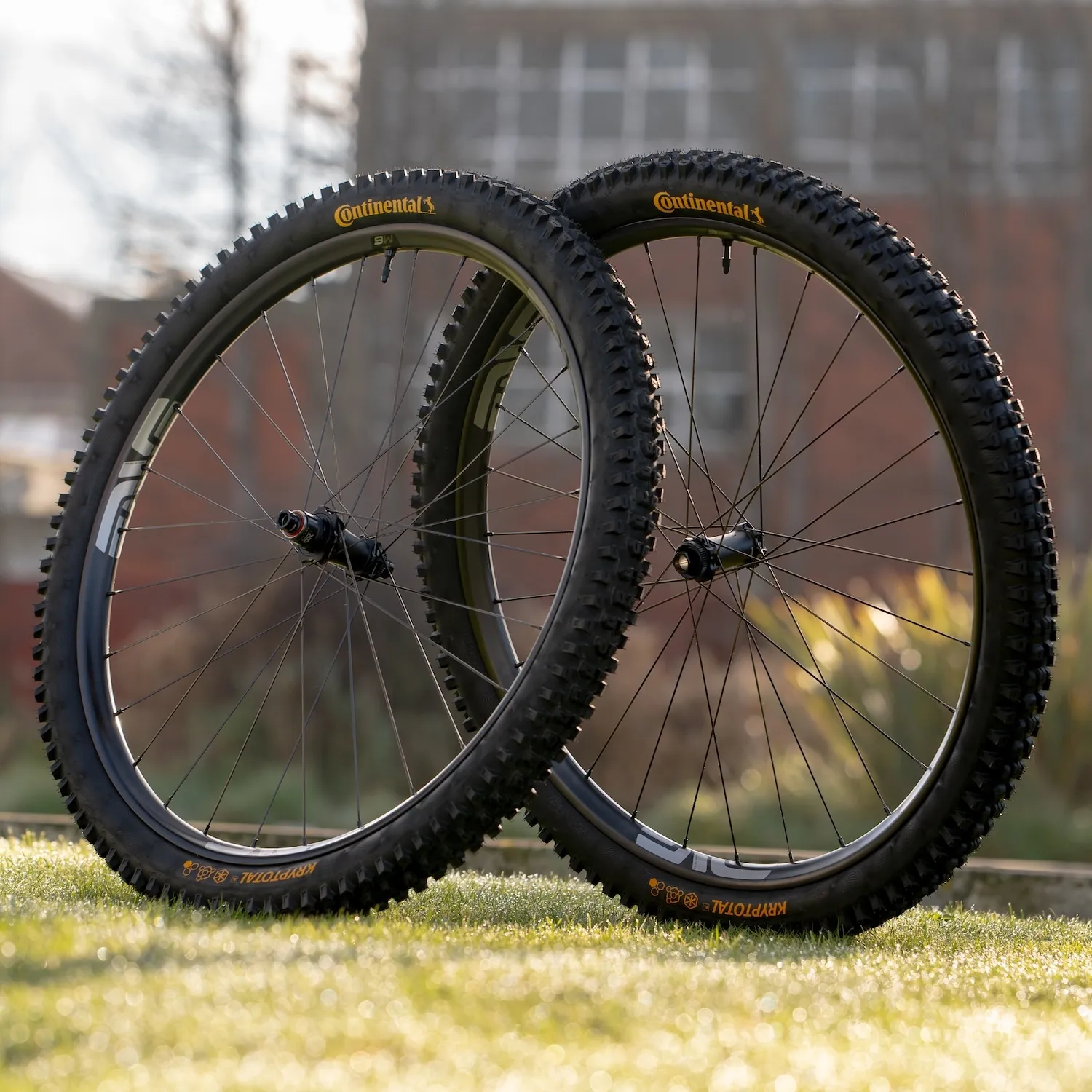 Enve M6 Trail 29" Demo Wheels