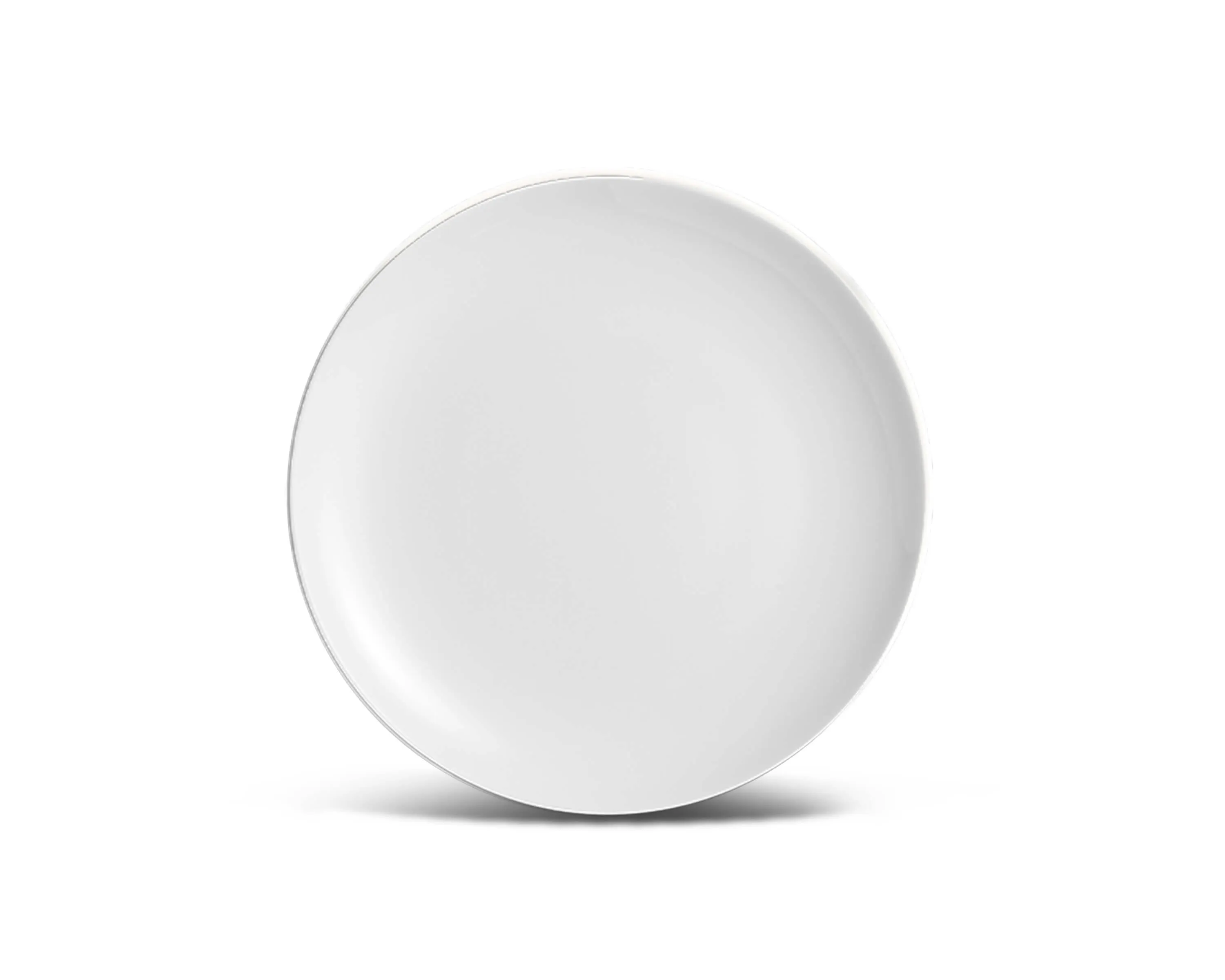 White Dinner Plate