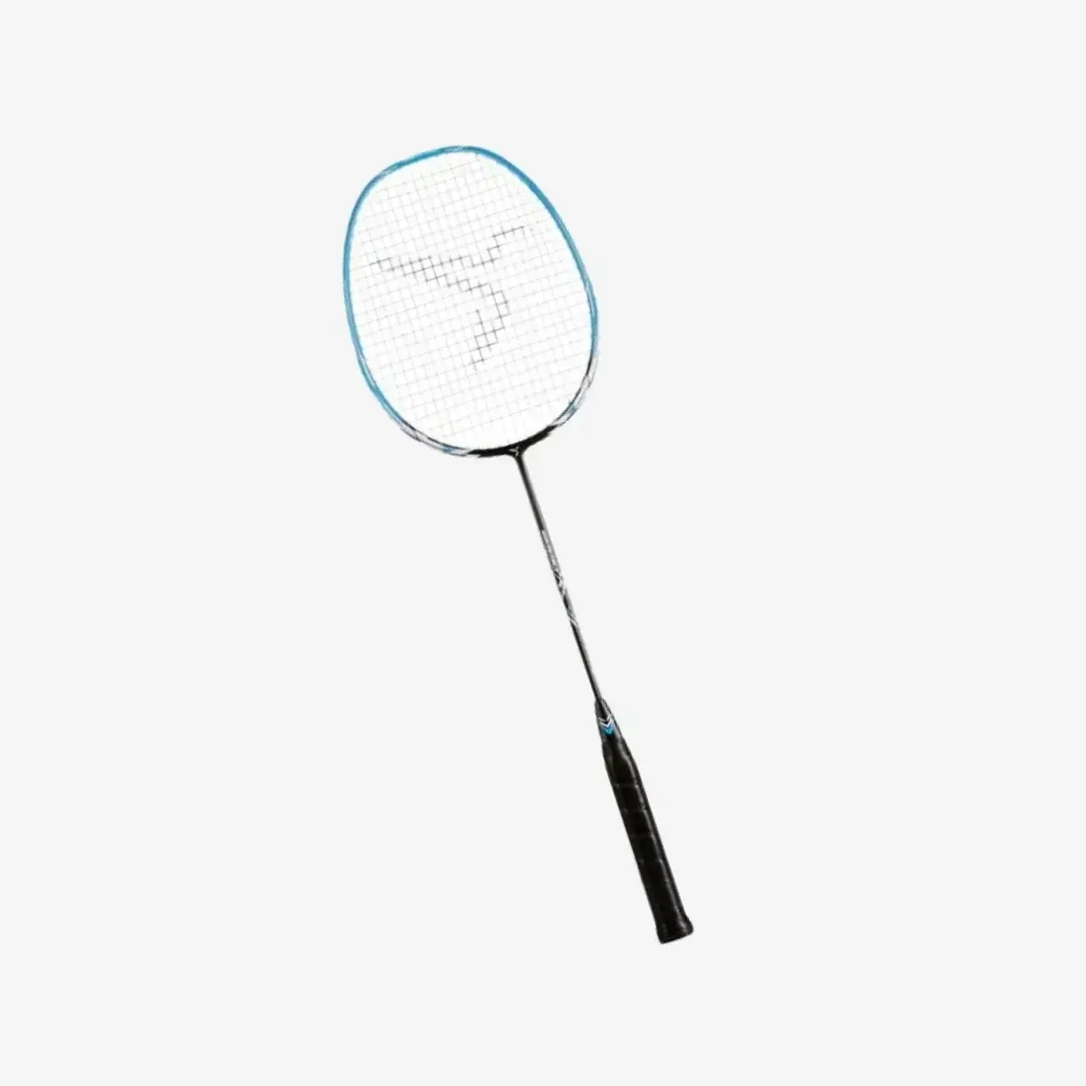 Badmintono rinkinys PRO