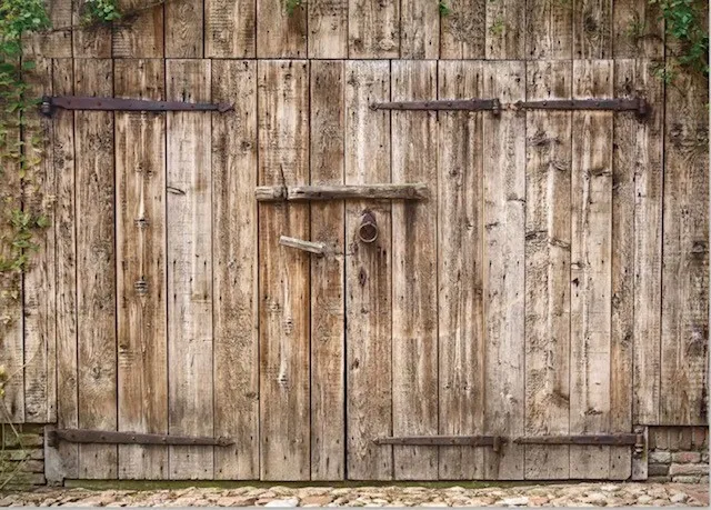 Faux Barndoor Backdrop-Vinyl- 10' x 10'