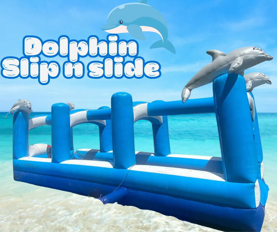 Dolphin slip n slide