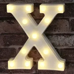 LED Marquee Light Up Alphabet Letter X