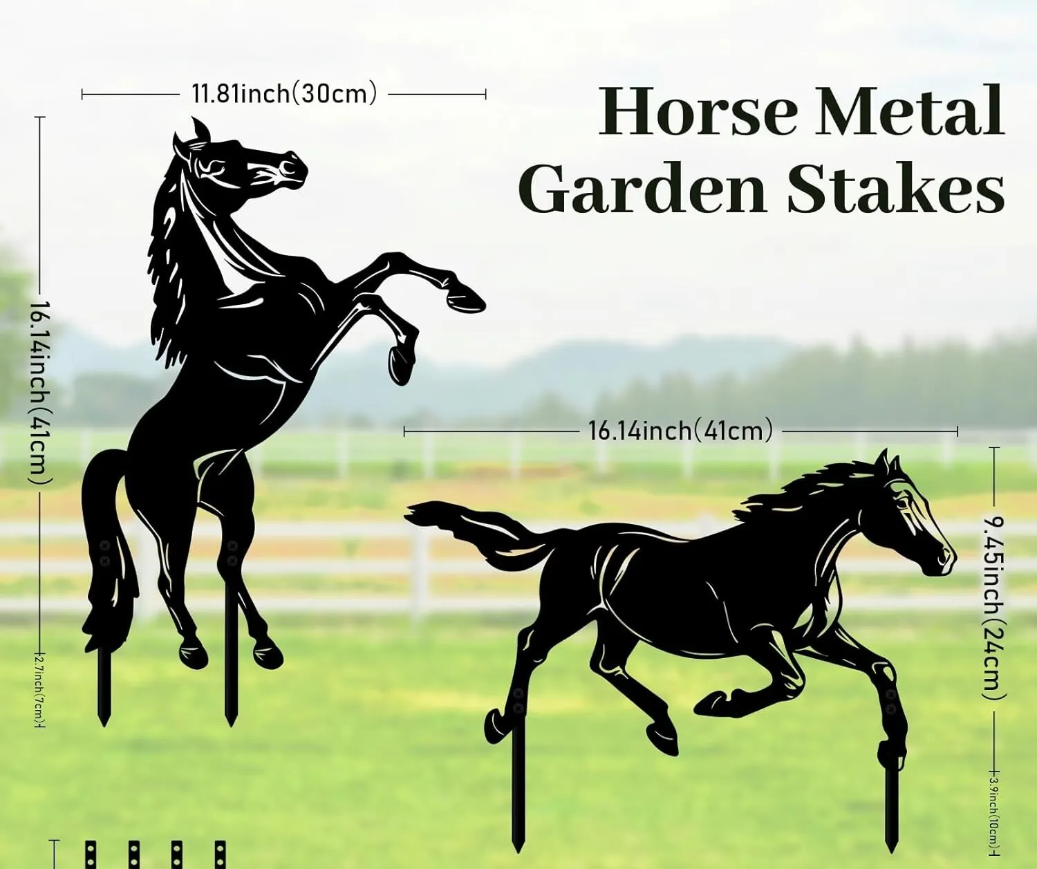 Iron Horse Silhouette