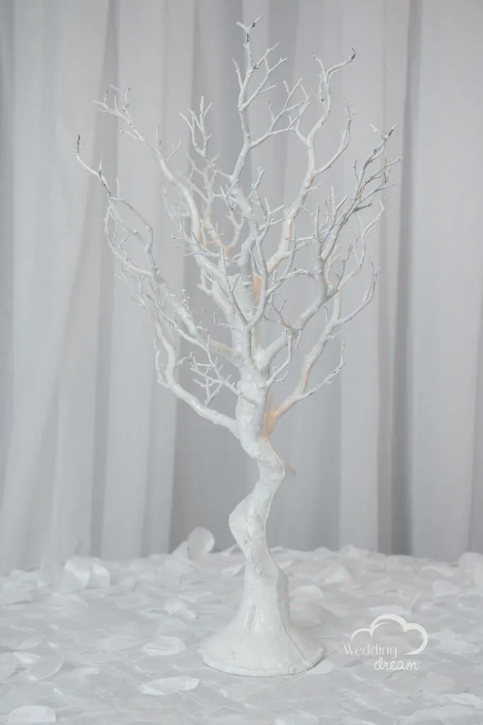 White Manzanita Tree