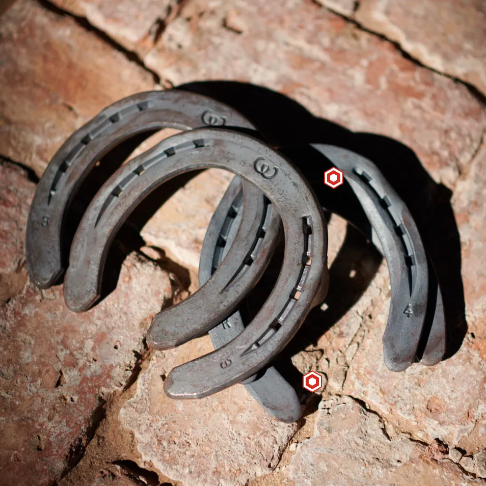 Horseshoes 5" - 6"