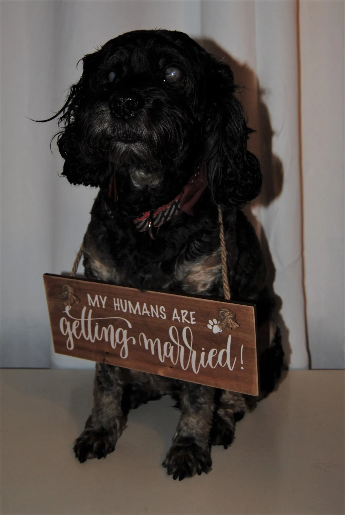Sign - My Humans Are Getting Married