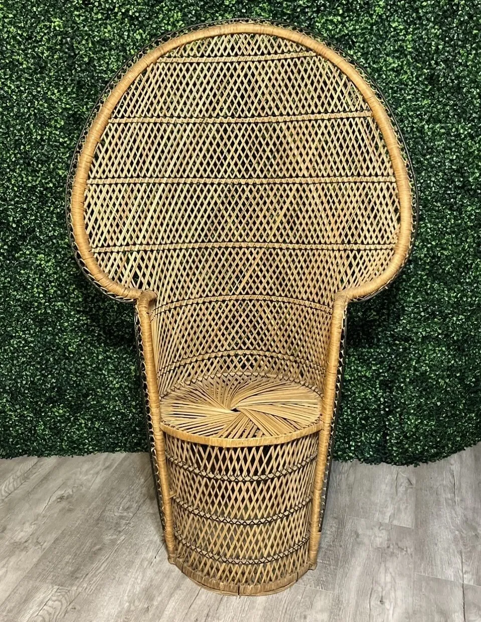 Chair - Peacock Chair - Junior