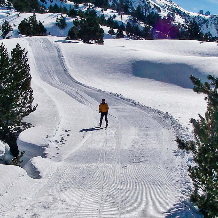 Esquí de Fondo