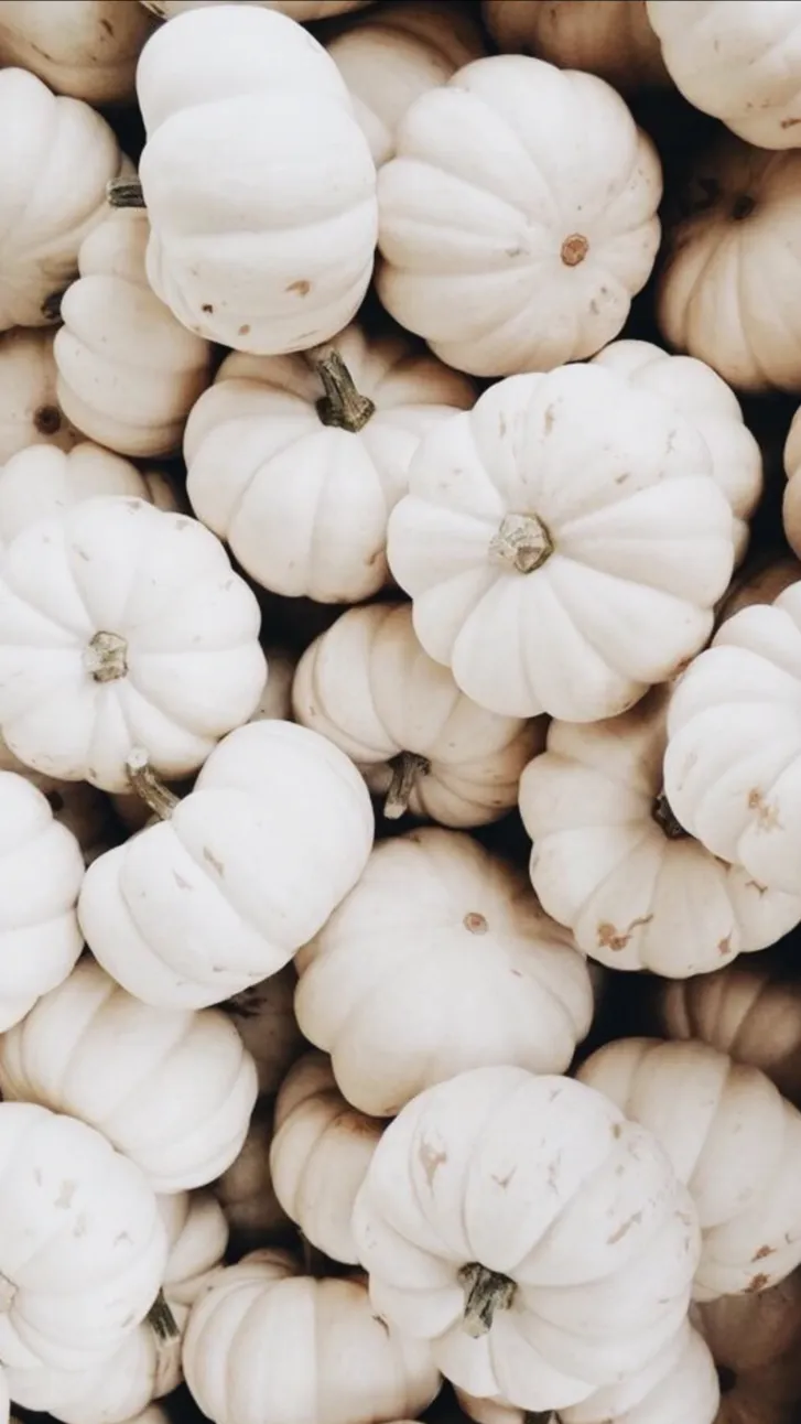 Fall