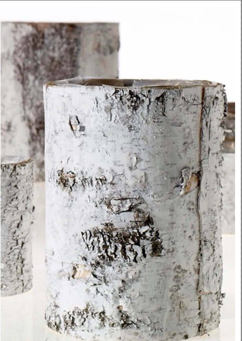 White Washed Birch Vase 10" x 7"