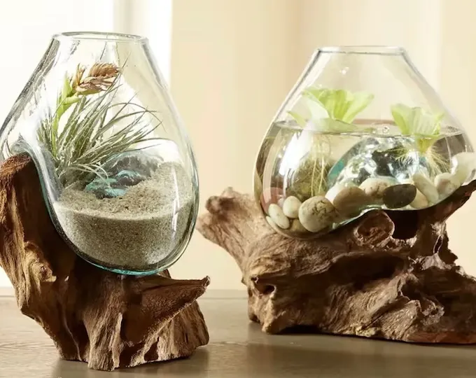 Driftwood Terrarium