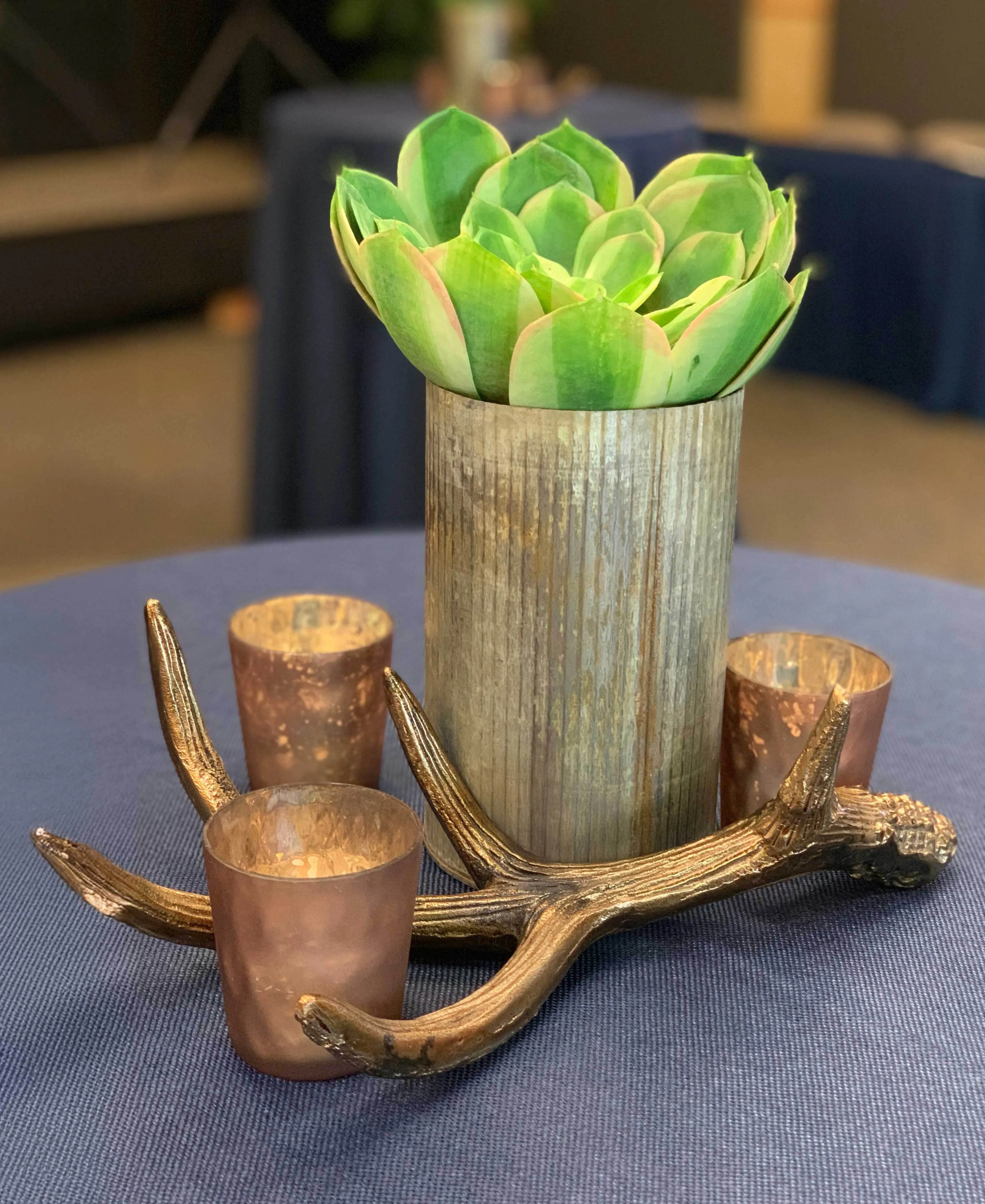 Succulent in Rustic Zinc Vase with Metal Antler