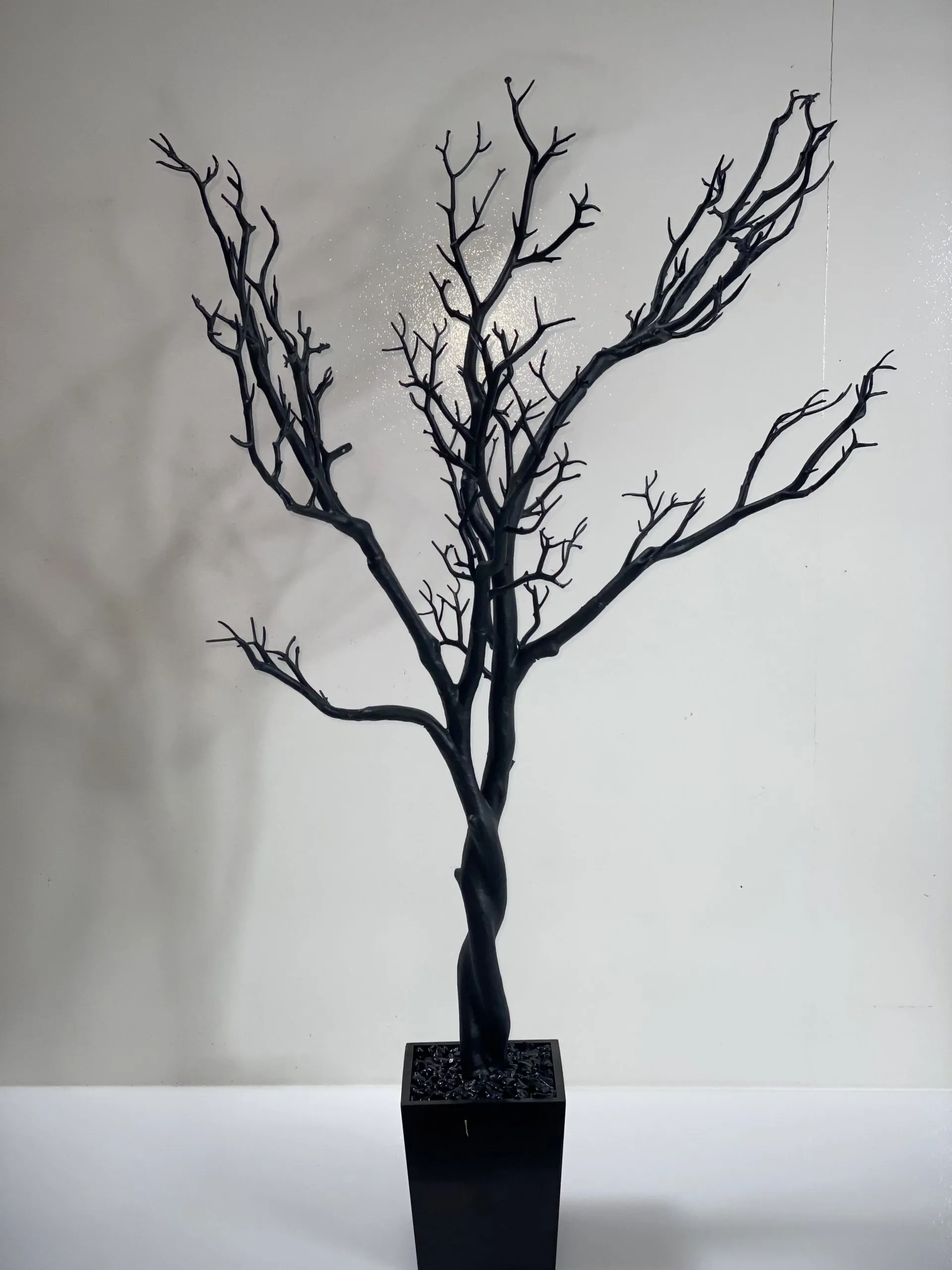 Branch Black Tree in Square Pot 4'