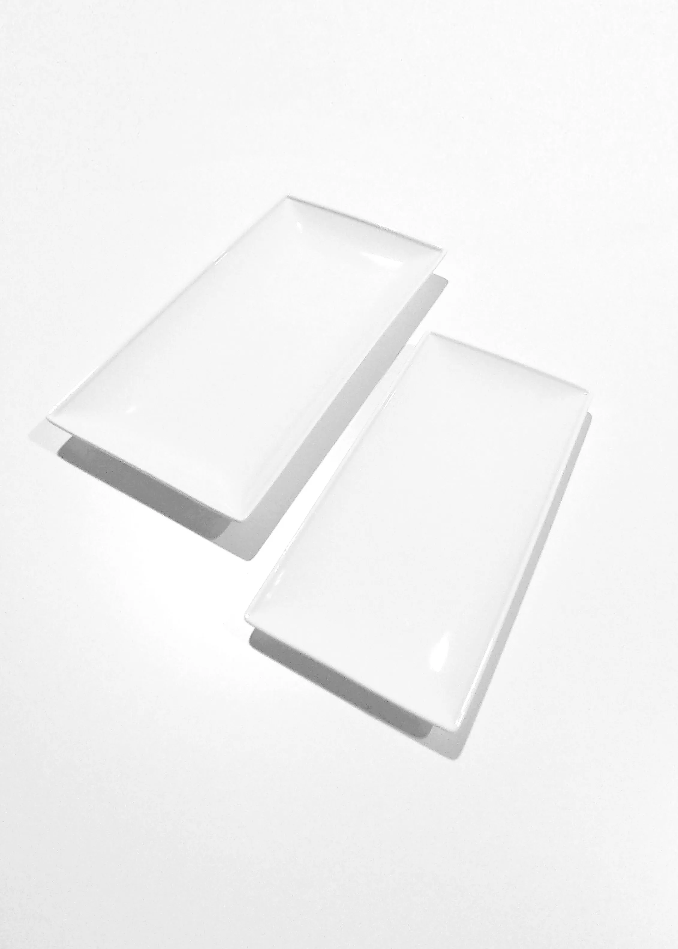 Set of 2 Rectangle Platters