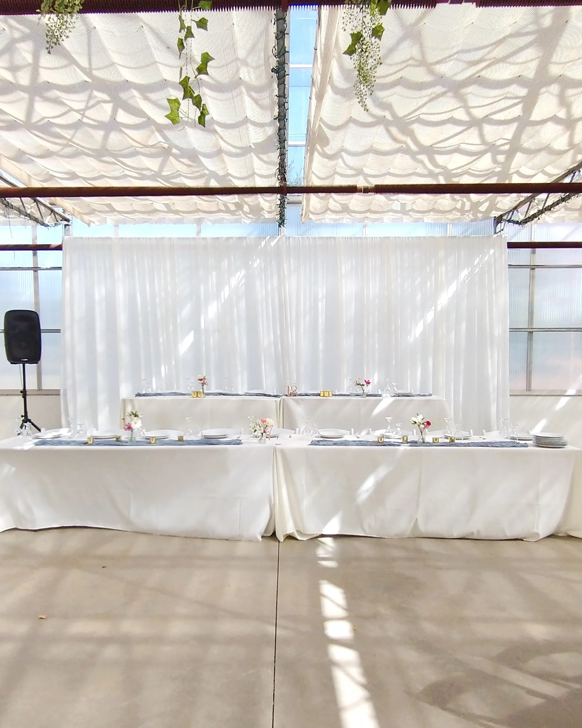 Chiffon Sheer Backdrop /ft