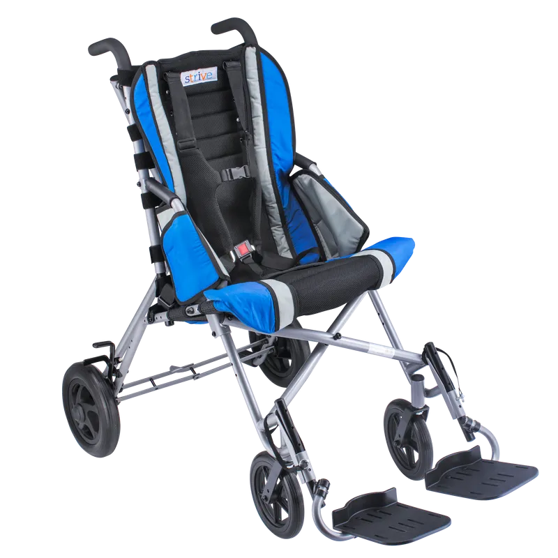 Adaptive Strollers