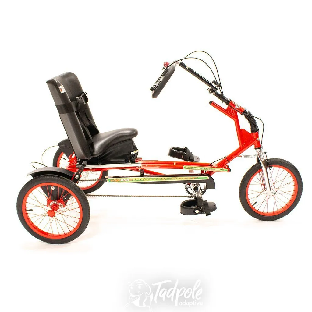 Trikes,  Bikes, and Trailers