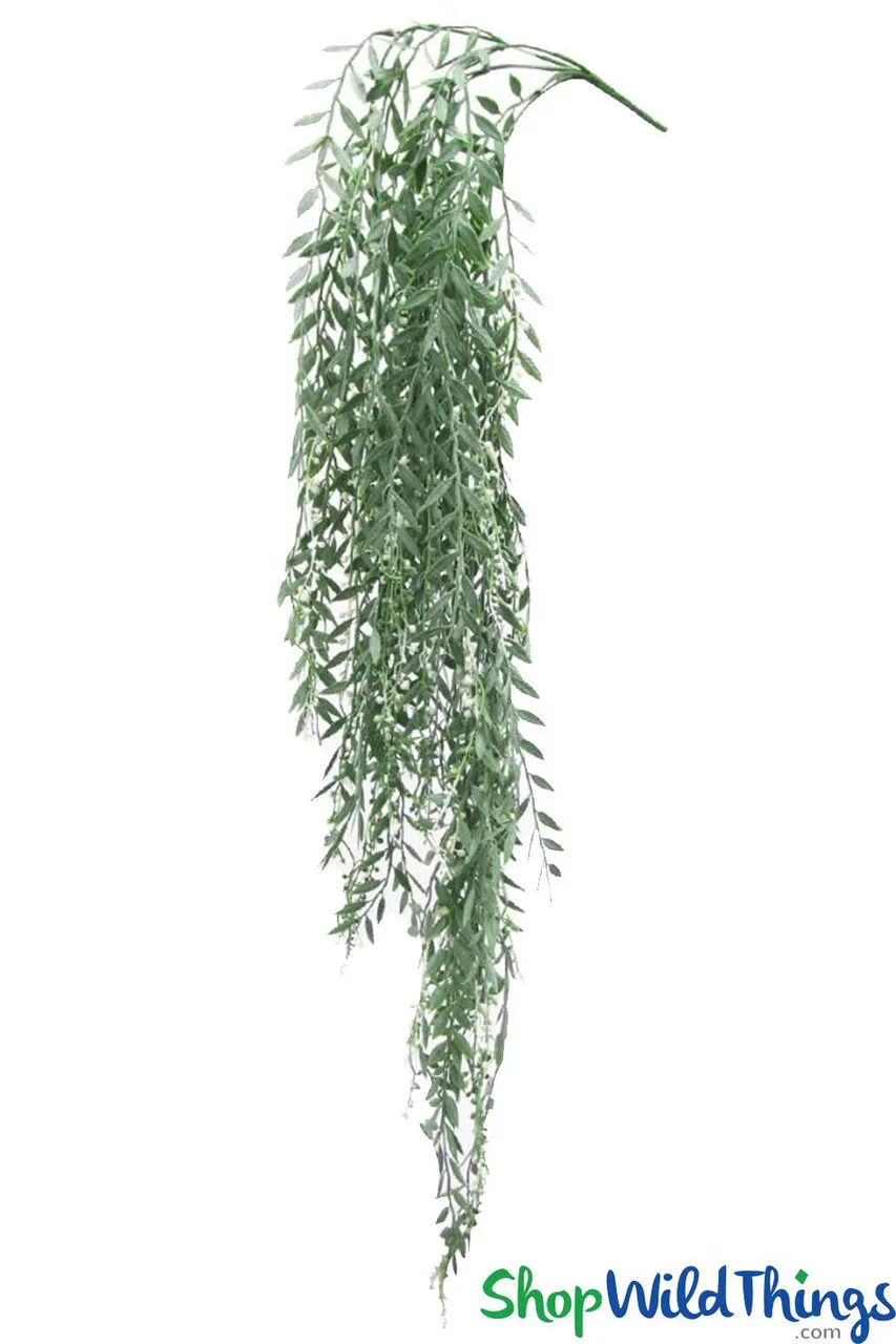Green hanging vines