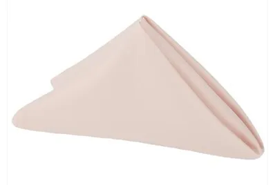 Blush 20 x 20 lamour satin napkins