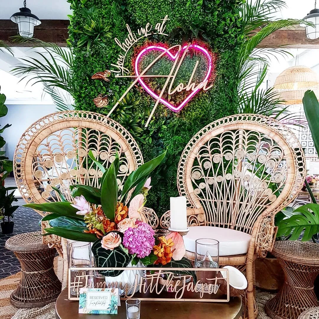 Backdrop - Green Wall