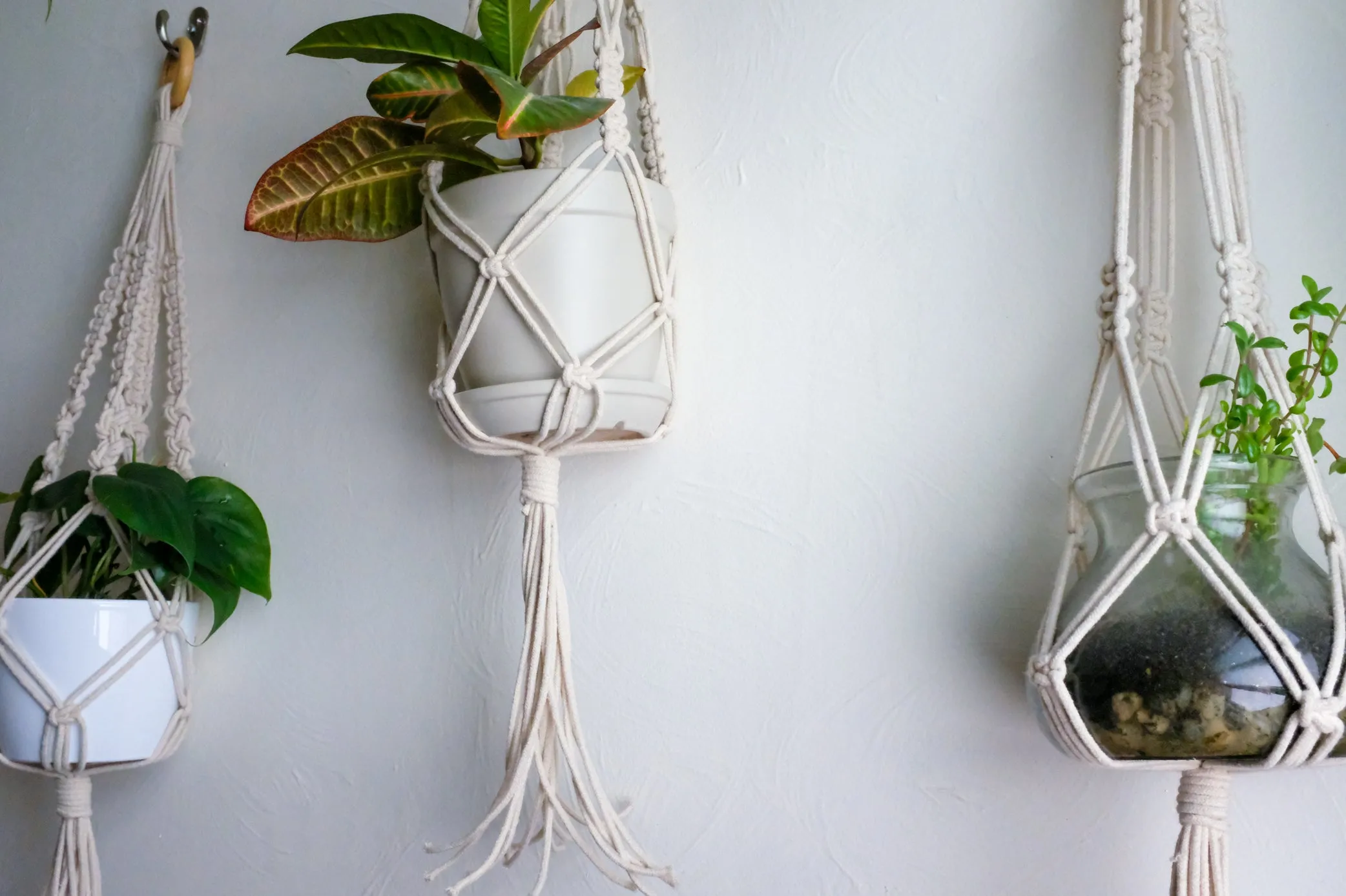 Macrame Plant Holder