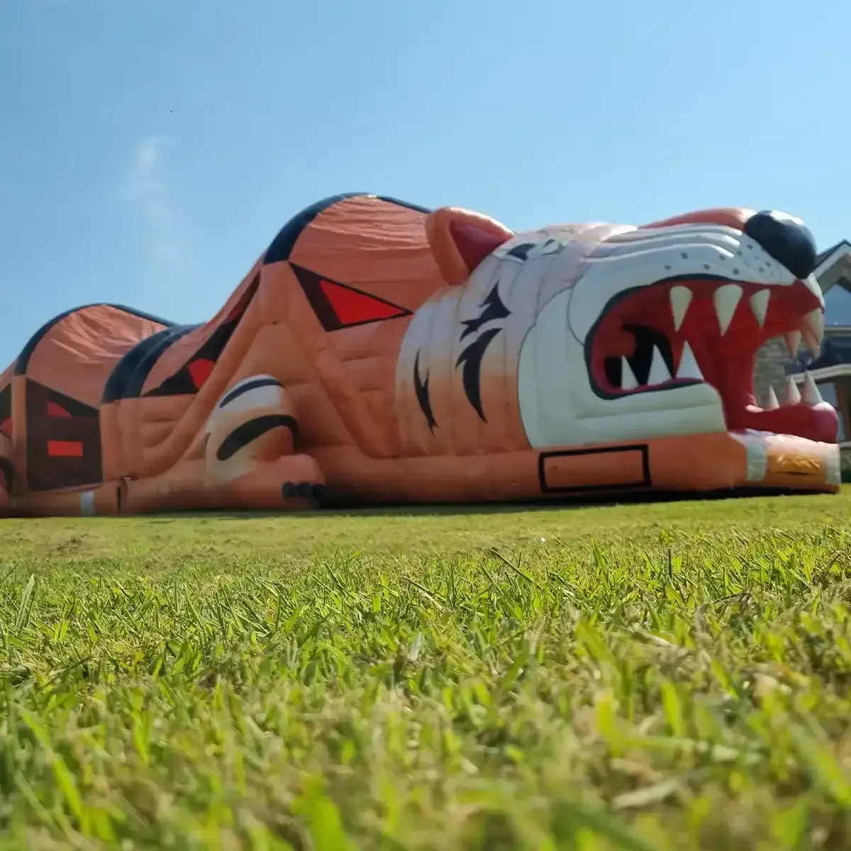 Tiger Obstacle Course