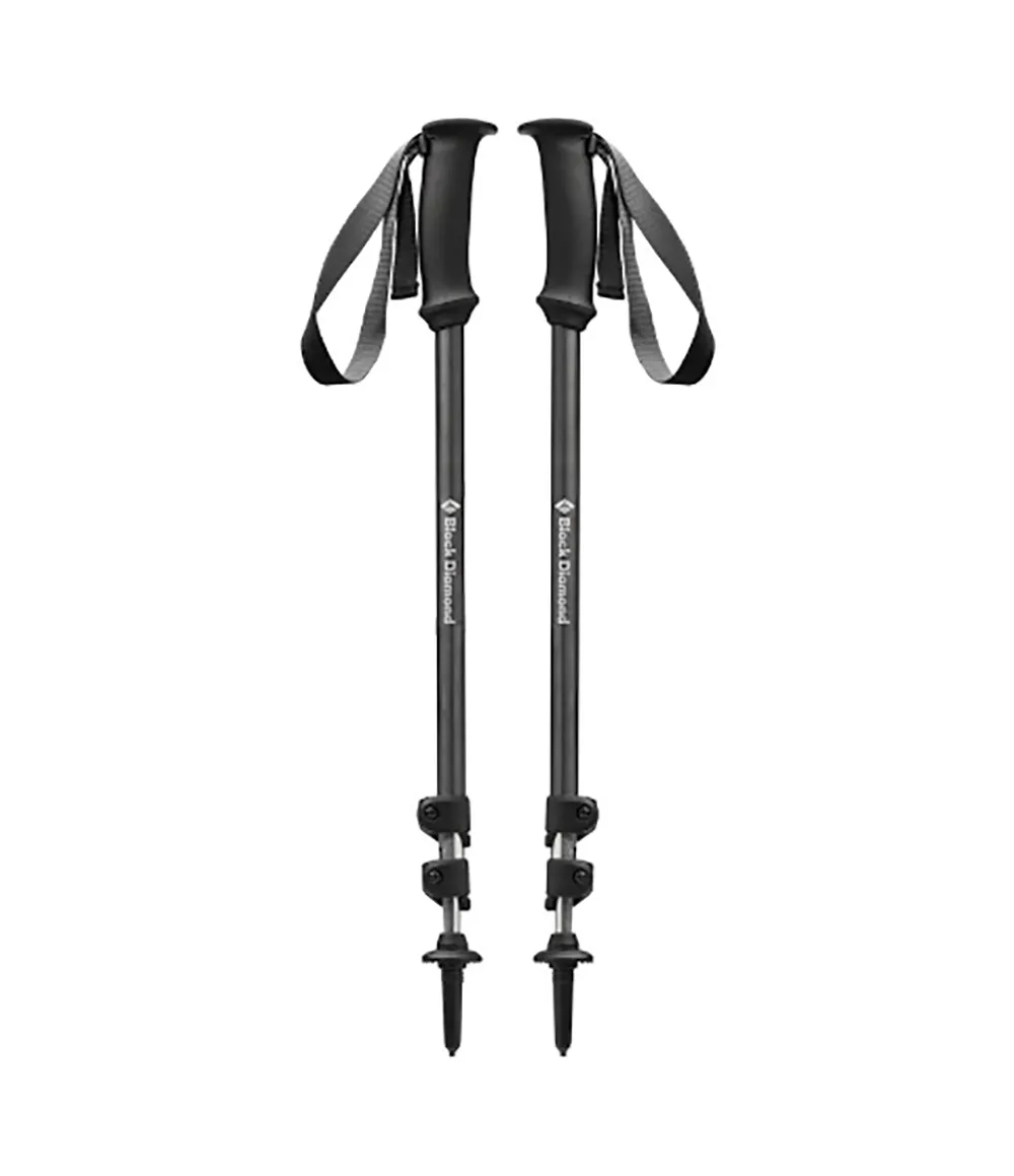 Splitboard Poles