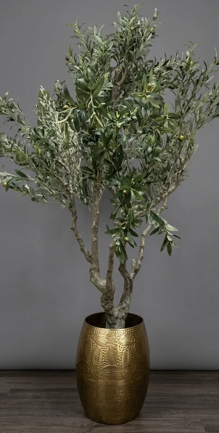 Olive Tree Big