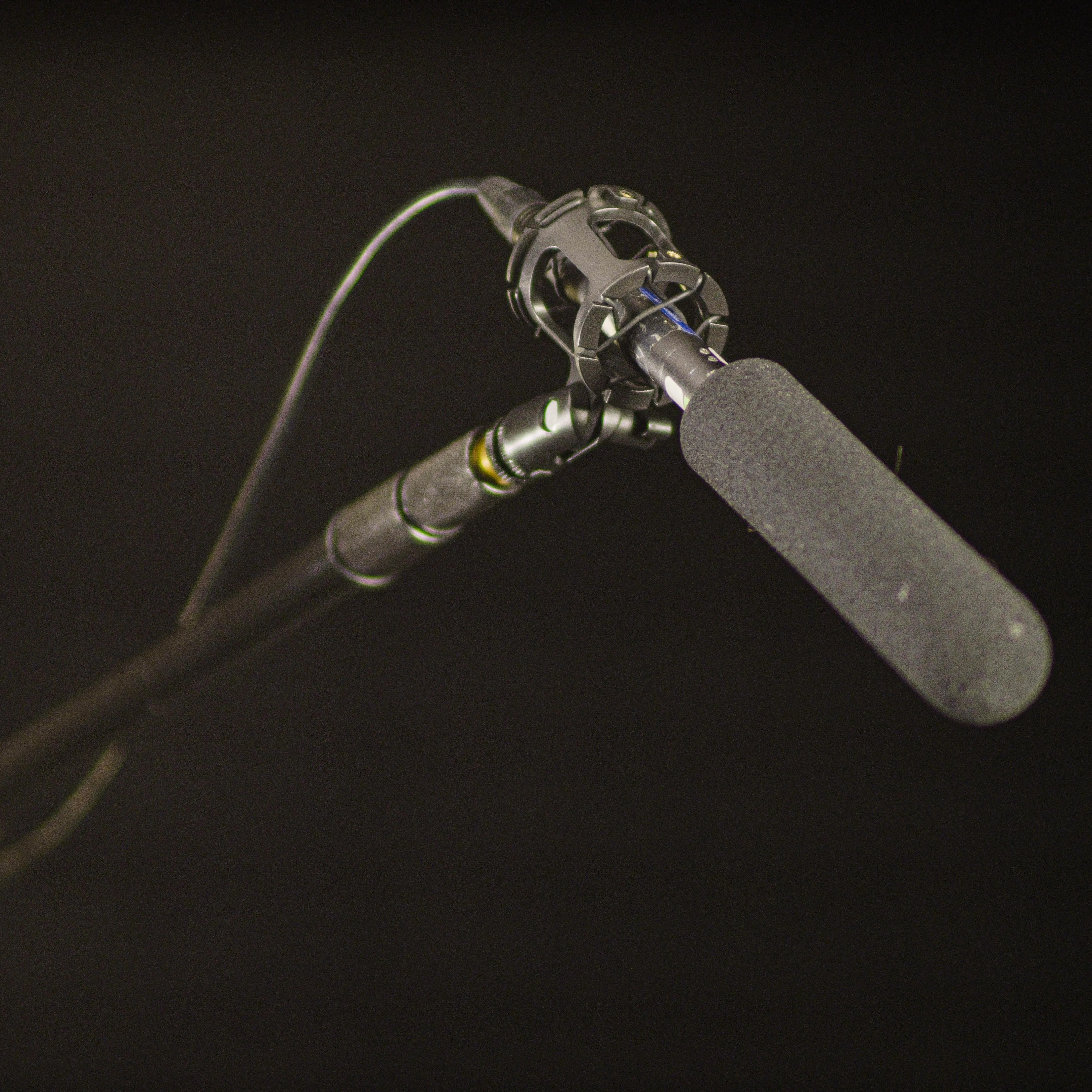 Azden Condenser Shotgun Microphone (SGM 1X)